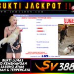 BUKTI JACKPOT SUMO4D-